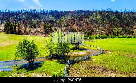 Üppige Wiesen und Ackerland entlang der Autobahn 5 eine schöne Strecke zwischen den Ortschaften Merritt und Princeton im wunderschönen British Columbia, Kanada Stockfoto