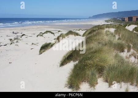 Die Dünen der Oregon Dunes National Recreation Area in der Nähe von Florence, Oregon, USA. Stockfoto