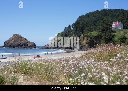 Die Leute am Strand in der Nähe von Heceta Head Leuchtturm an der Küste von Oregon, USA. Stockfoto