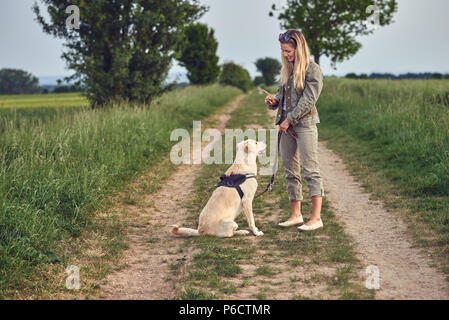 Attraktive junge Frau Lehre ihren Hund zu einem gehorsamen Golden Labrador auf wenige Kabelbaum und führen in einem Land Landschaft auf einen Feldweg Stockfoto