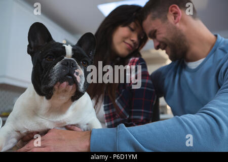 Paar spielen mit ihren Hund in der Küche zu Hause. Stockfoto