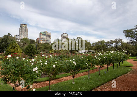 El Rosedal Rose Park am Bosques de Palermo (Palermo Woods) - Buenos Aires, Argentinien Stockfoto