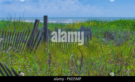 Dune Zaun im Bereich der wilden Blumen mit blauem Himmel und Wellen im Abstand Stockfoto