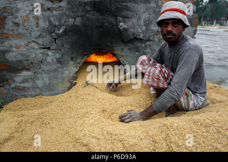 Ein Arbeitnehmer, der Kraftstoff in der Schale von Reis an Ishwardi Upazila, in Rajshahi Pabna Bezirk Division, Bangladesch. Stockfoto