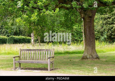 Parkbank im Schatten einer alten Eiche Stockfoto