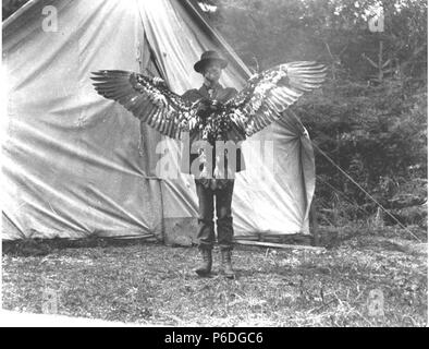 . Englisch: H. Ambrosius Kiehl vor einem Zelt Holding toten Adler durch seine Flügel in der Nähe von Fort Seward, Alaska, 1909. Englisch: Text von Kiehl anmelden: H.A.K. und Adler. Album 1,089 Themen (LCSH): Adler - - Alaska - Haines; Kiehl, H. Ambrosius; Zelte - Alaska - Haines; Port Chilkoot (Haines, Alaska). 1909 51 UHR Ambrose Kiehl vor einem Zelt Holding toten Adler durch seine Flügel in der Nähe von Fort Seward, Alaska, 1909 (kiehl 4) Stockfoto