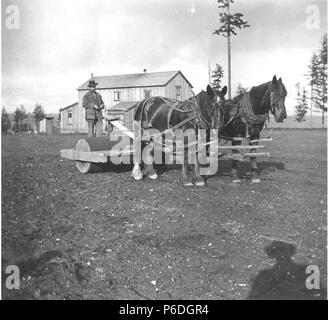 . Englisch: Horse Team schleppen Stein Walze für Pflanzen Samen am Fort Lawton, Washington, 19. März 1899. Englisch: Text von Kiehl anmelden: Rolling Saatgut auf dem Campus. März 19, 1899. Album2.204 Themen (LCTGM): Pferd Mannschaften - Washington (State) - Seattle, USA. Armee - Ausrüstung & Zubehör - Washington (State) - Seattle Themen (LCSH): Landwirtschaftliche Geräte - Washington (State) - Fort Lawton (Seattle); militärische Basen - Washington (State) - Seattle; Gebäude-- Washington (State) - Fort Lawton (Seattle); Fort Lawton (Seattle, Washington) Konzepte: Tierische Themen. 1899 53 Pferd Team schleppen Stein roller f Stockfoto