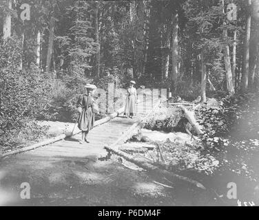 . Englisch: Frau J. W. Slayden und Frau H. M. Sarvant Überqueren einer Fußgängerbrücke auf einer Spur über Paradise Fluss, Ca. 1901. Englisch: Legende im Album: Frau J. W. Slayden, Frau MARIANA Sarvant, Brücke über den Fluss Paradies jetzt im Mount Rainier National Park, der 1899 gegründet wurde. PH-Coll 35.255 Themen (LCTGM): Frauen - Bekleidung & Kleid - Washington (State); Bloomers; Fußgänger Brücken - die Washington (State); Flüsse - Washington (State); Nationale Parks & Reservate - Washington (State) Themen (LCSH): Sarvant, Henry M., Frau; Slayden, J.W., Frau; Mount Rainier National Park (Washington); Paradis Stockfoto