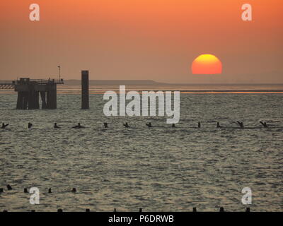 Sheerness, Kent, Großbritannien. 29 Juni, 2018. UK Wetter: Der Sonnenuntergang in Sheerness, Kent. Credit: James Bell/Alamy leben Nachrichten Stockfoto