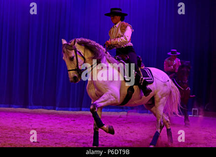 Northwich, Großbritannien, 29. Juni 2018. Europas Equestrian Theater, Geist des Pferdes", mit einem brandneuen Produktion für 2018. Spanisch Tanzenden Pferden, Russische Kosaken Reiter und "Pegasus" ein geflügeltes Pferd. Arley Hall, Arley, Cheshire, 29 Juni, 2018 (C) Barbara Cook/Alamy leben Nachrichten Stockfoto