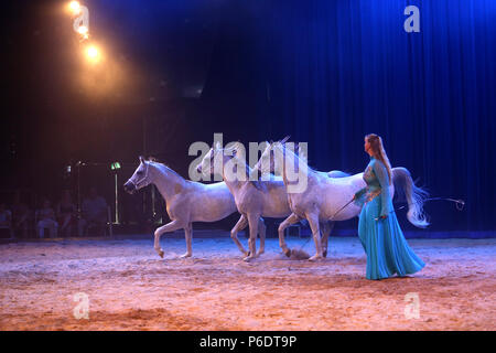 Northwich, Großbritannien, 29. Juni 2018. Europas Equestrian Theater, Geist des Pferdes", mit einem brandneuen Produktion für 2018. Spanisch Tanzenden Pferden, Russische Kosaken Reiter und "Pegasus" ein geflügeltes Pferd. Arley Hall, Arley, Cheshire, 29 Juni, 2018 (C) Barbara Cook/Alamy leben Nachrichten Stockfoto