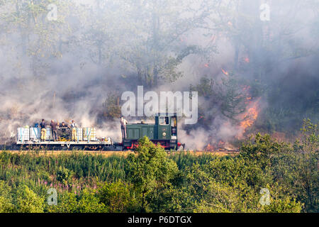 Rheidol Valley, Ceredigion, Wales, Großbritannien, 29. Juni 2018 Deutschland Wetter: Ein kleiner Zug mit Wasser Behälter entlang dem Tal Rheidol Railway Track mit feuerwehrleute an Bord, durch einen Brand entlang der Rheidol Valley, die am Dienstag, 26. Juni 2018 begonnen und setzte über das Tal für vier Tage zu verteilen, während die Feuerwehrleute versuchten, den Brand mit Wasser bowsers entlang dem Tal Rheidol Bahn mit einer Wasserpumpe, die Flammen zu löschen. Credit: Ian Jones/Alamy leben Nachrichten Stockfoto