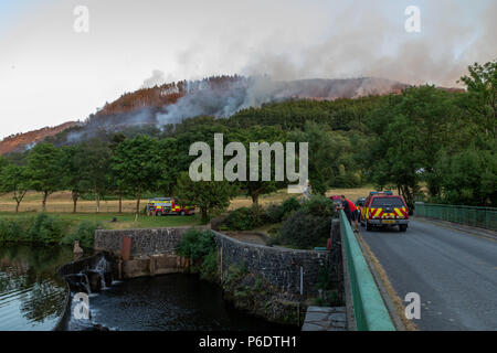 Feuerwehr fahrzeuge und Personal bei Cwm Rheidol, während der Juni Rheidol Valley Fire 2018. Credit: Ian Jones/Alamy Leben Nachrichten. Credit: Ian Jones/Alamy leben Nachrichten Stockfoto