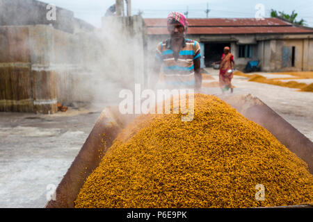 Die bearbeiteten Reis erfolgt bei Ishwardi Upazila, in Rajshahi Pabna Bezirk Division, Bangladesch gebracht. Stockfoto