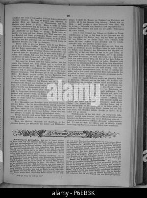 . Gartenlaube sterben. English: Seite 407 aus 'Die Gartenlaube'. Englisch: auf Seite 407 von der Zeitschrift Die Gartenlaube für 1891. Extrahierte Bild (falls vorhanden): Datei: Die Gartenlaube (1891) b 407.jpg - Hochauflösende,  2,5 MB. English: keine Bildunterschrift Englisch: keine Bildunterschrift. N/A 15 Gartenlaube (1891) 407 Sterben Stockfoto