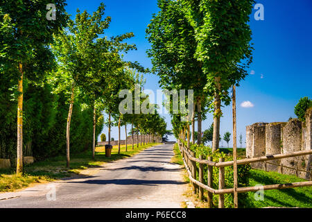 Die mittelalterliche Mauer wurde im 13. Jahrhundert in Provins, Frankreich Stockfoto