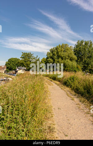 Ein Fußweg entlang des Flusses Arun in Arundel, West Sussex, UK. Stockfoto