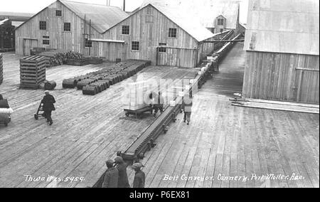 . Englisch: Förderband, Arbeitnehmer und Gebäuden bei Pacific American Fischerei Konservenfabrik in Port Moller, Ca. 1912. Englisch: Legende auf Bild: Gurtbandförderer, Cannery, Port Moller, Aaa. PH-Coll 247.915 Port Moller ist ein Dorf im Südwesten von Alaska. Es befindet sich auf der Alaska Halbinsel am Eingang von Port Moller Einlass (20 mi) von Bristol Bay auf der Bering See entfernt. Primäre Industrien sind die Fischerei und Fisch canning. Themen (LCTGM): Pacific American Fischerei, Inc. -- Einrichtungen - Alaska --Port Moller; Pacific American Fischerei, Inc. - - Ausrüstung & Zubehör - Alaska --Port Moller; Pacific American Meerestier Stockfoto