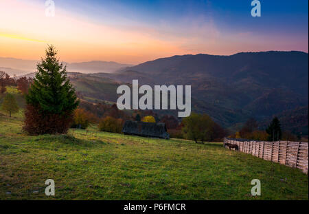 Holzzaun auf einer Grasbewachsenen ländliche Hügel bei Herbst Dawn. horese, Holzschuppen und in der Szene Fichte. wunderschöne Landschaft in bewaldeten Berge mit Rot fo Stockfoto