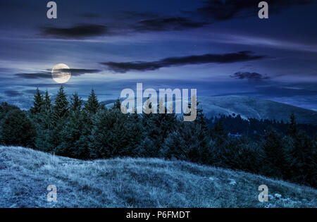 Sommer Landschaft mit bewaldeten Hügeln, in der Nacht bei Vollmond Licht. wunderschöne Landschaft des Svydovets Bergrücken, Ukraine Stockfoto