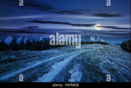 Straße durch bewaldete Bergrücken in der Nacht im Vollmond Licht. Schöne composite Landschaft mit Hohen Tatra Berge in der Ferne. Schöne Pano Stockfoto