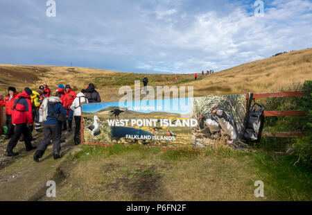 Expedition Cruise Ship Passagiere gehen an die "Willkommen in West Point Island" Schild, West Point Island, Falkland Inseln Stockfoto