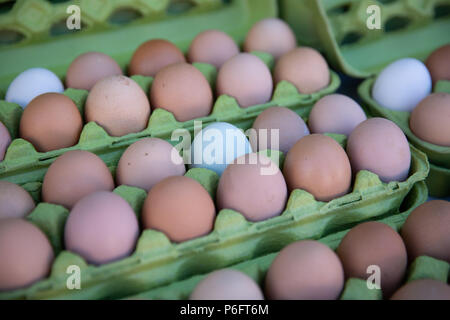 Farm Fresh Bio Eier Stockfoto