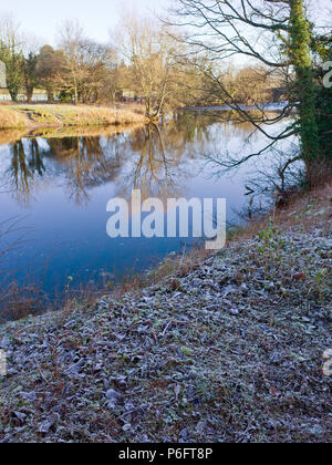 Cold Frosty Morning River Wharfe Ilkley West Yorkshire Uk Stockfoto