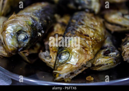 Frisch gegrillte Sardinen Nahaufnahme Stockfoto