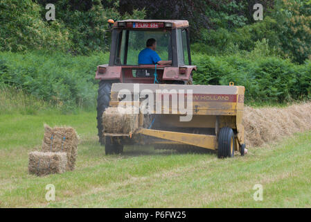 Landwirt mit seinem Traktor zu kompakten Heu in Ballen Heu Stockfoto