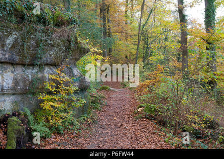 Luxemburg Müllerthal Trail Wanderung im Herbst Stockfoto