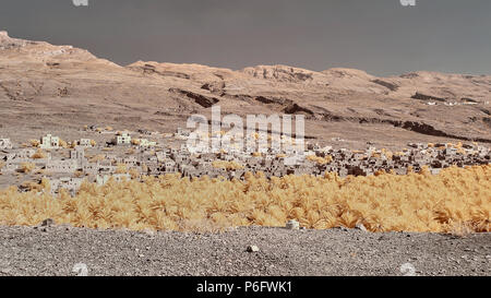 Ein Obstgarten von Dattelpalmen vor ein Dorf vor dem Hintergrund der dürren Berge im Oman Stockfoto