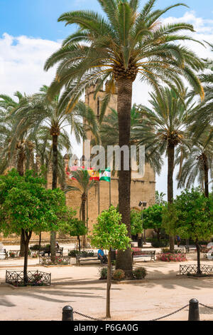 Cordoba Alcazar, Blick von der Calle Caballerizas Reales über den Palmen gesäumten Plaza vor der Alcazar de los Reyes Cristianos, Cordoba. Stockfoto