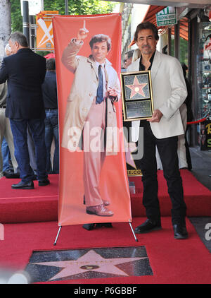 PETER FALK posthum geehrt MIT STERN AUF DEM WALK OF FAME in Los Angeles. An der Zeremonie Joe Mantegna - Peter Falk Stern a Joe Mantegna - Peter Falk Stern 72 Veranstaltung in Hollywood Leben - Kalifornien, Red Carpet Event, USA, Filmindustrie, Prominente, Fotografie, Bestof, Kunst, Kultur und Unterhaltung, Topix prominente Mode, Besten, Hollywood Leben, Event in Hollywood Leben - Kalifornien, Film Stars, TV Stars, Musik, Promis, Topix, Bestof, Kunst, Kultur und Unterhaltung, Fotografie, Anfrage tsuni@Gamma-USA.com, Kredit Tsuni/USA, ausgezeichnet mit einem Stern auf der Ho. Stockfoto