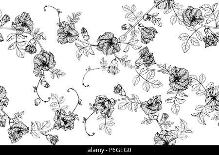 Nahtlose butterfly pea flower Muster Hintergrund. Schwarz und Weiß mit Zeichnung line Art Illustration. Stock Vektor