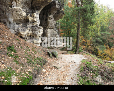 Waldweg im Herbst Wald, Böhmische Schweiz, Tschechische Republik Stockfoto