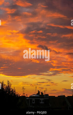 Silhouetted Bäume und Fernsehantennen auf den Dächern in einer englischen Stadt bei Sonnenuntergang Stockfoto