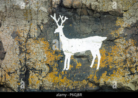 Berühmte, weiß lackiert Hirsch auf Rock bei Hirsch Felsen, Bamburgh, Northumberland, England Stockfoto