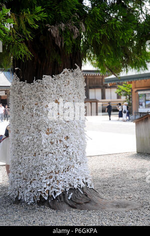Wahrsagen Papier auf den Baum an der Izumo Taisha Shrine, Shimane, Japan. Zu beten, Japaner in der Regel 2 mal klatschen mit den Händen, aber für Thi Stockfoto