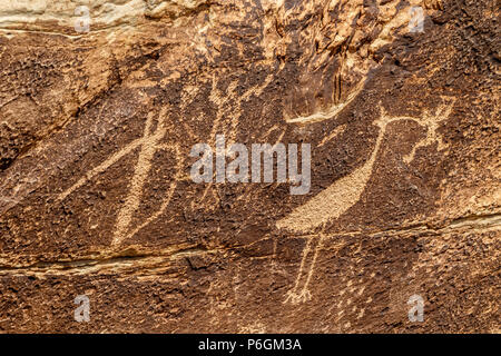 Felszeichnungen von Newspaper Rock, einer Gruppe von rockfaces mit über 650 alten Schnitzereien in Petrified Forest National Park, Arizona. Stockfoto