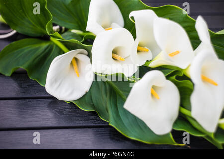 Schöne weiße calla Lilien in einem Blumenstrauß auf rustikalen Hintergrund Stockfoto