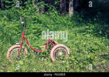 Eine alte vintage Dreirad im Wald gefunden. Schönes Rot auf Grün Kontrast. Stockfoto