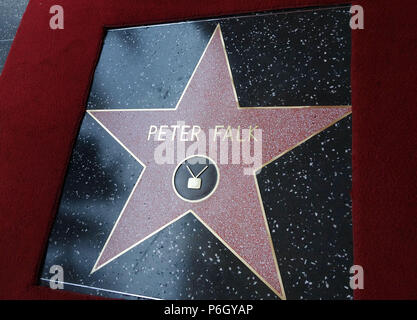 PETER FALK posthum geehrt MIT STERN AUF DEM WALK OF FAME in Los Angeles. Peter Falk Star 80 Veranstaltung in Hollywood Leben - Kalifornien, Red Carpet Event, USA, Filmindustrie, Prominente, Fotografie, Bestof, Kunst, Kultur und Unterhaltung, Topix prominente Mode, Besten, Hollywood Leben, Event in Hollywood Leben - Kalifornien, Film Stars, TV Stars, Musik, Promis, Topix, Bestof, Kunst, Kultur und Unterhaltung, Fotografie, Anfrage tsuni@Gamma-USA.com, Kredit Tsuni/USA, ausgezeichnet mit einem Stern auf dem Hollywood Walk ofFame in Los Angeles, 2013 Stockfoto