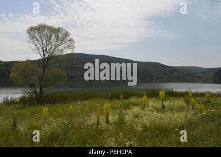 Bewölkt Landschaft rund um ruhigen See mit Bäumen und Blumen, die Anfang Sommer in Bulgarien Stockfoto