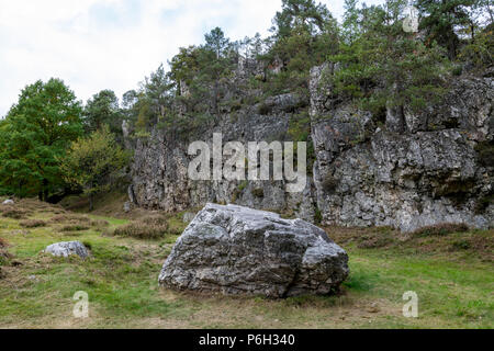 Big Rock auf einem Feld mit Bäumen im Bayerischen Wald Stockfoto