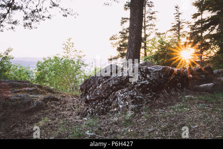 Sonnenuntergang mit Sonnenstrahlen auf einem Berg im Bayerischen Wald mit Steinen vor Stockfoto