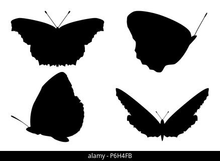 Eingestellt von Schmetterlingen Silhouetten auf weißem Hintergrund. Sammlung verschiedener Schmetterling schwarze Silhouette, Vektor EPS 10. Stockfoto
