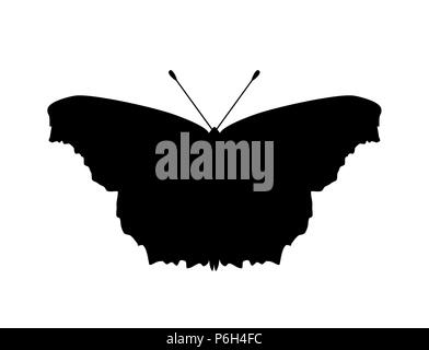 Schmetterling schwarze Silhouette auf weißem Hintergrund der Ansicht von oben, Logo, Symbol, Vektor isoliert, eps 10. Stockfoto