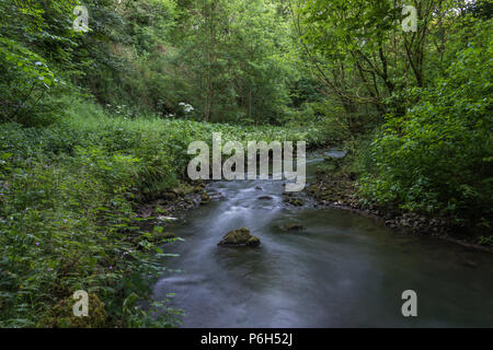 Die sanft fließenden Fluss Dove an einem Sommerabend in der ruhigen Kalkstein Schlucht von Beresford Dale in der Derbyshire Peak District in England, Großbritannien Stockfoto