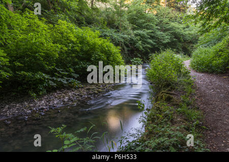 Die sanft fließenden Fluss Dove an einem Sommerabend in der ruhigen Kalkstein Schlucht von Beresford Dale in der Derbyshire Peak District in England, Großbritannien Stockfoto